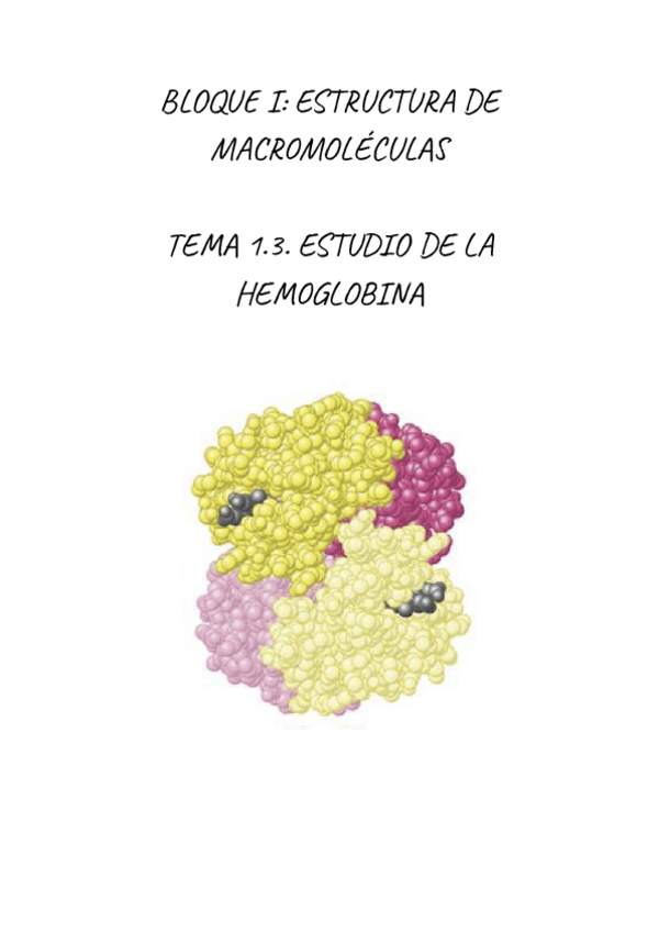 Miniatura del documento BIOQUIMICA.-ESTUDIO-DE-LA-HEMOGLOBINA.pdf