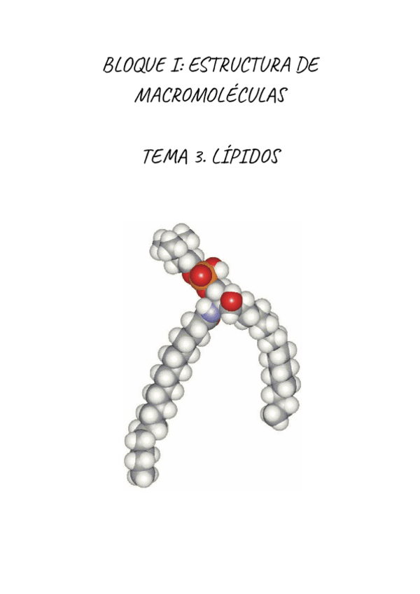 Miniatura del documento BIOQUIMICA.-LIPIDOS.pdf