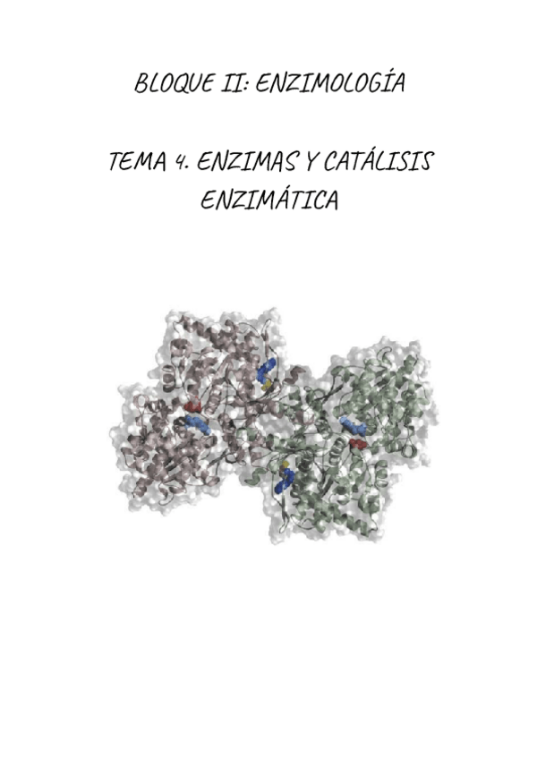 Miniatura del documento BIOQUIMICA.-ENZIMAS-Y-CATALISIS-ENZIMATICA.pdf