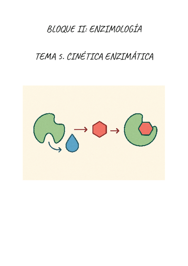 Miniatura del documento BIOQUIMICA.-CINETICA-ENZIMATICA.pdf