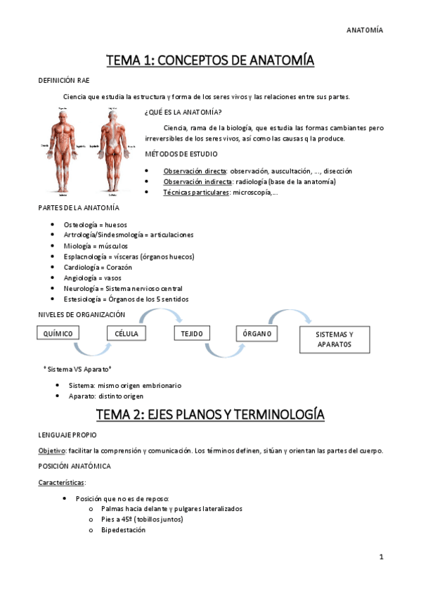 Miniatura del documento Tema-1-y-2.pdf