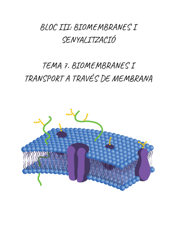Miniatura del documento BIOQUIMICA.-BIOMEMBRANES-I-TRANSPORT-A-TRAVES-DE-MEMBRANA.pdf