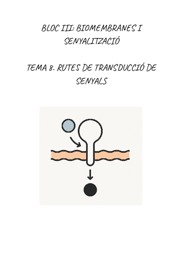Miniatura del documento BIOQUIMICA.-RUTES-DE-TRANSDUCCIO-DE-SENYALS.pdf