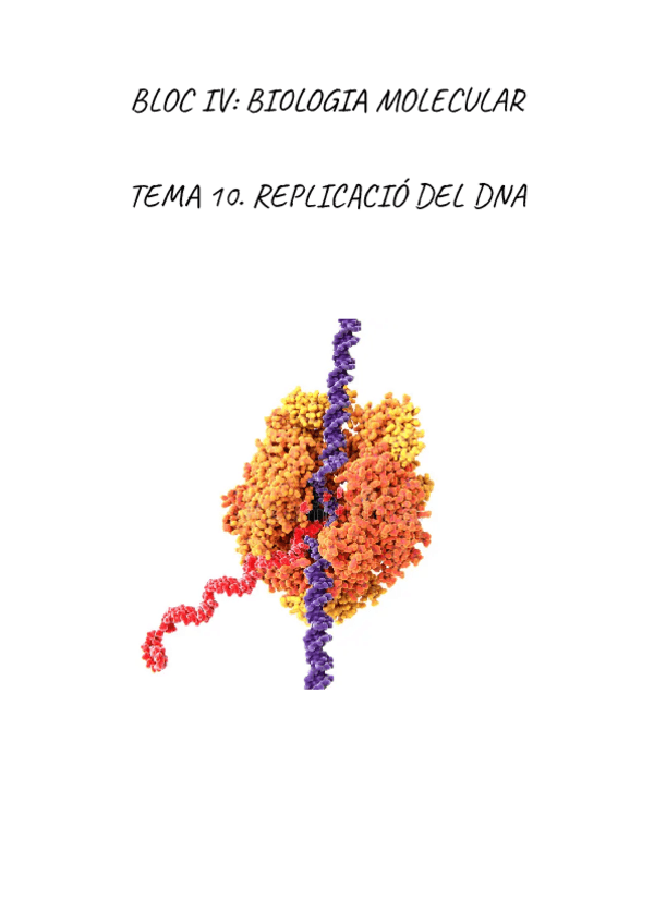Miniatura del documento BIOQUIMICA.-REPLICACIO-DEL-DNA.pdf