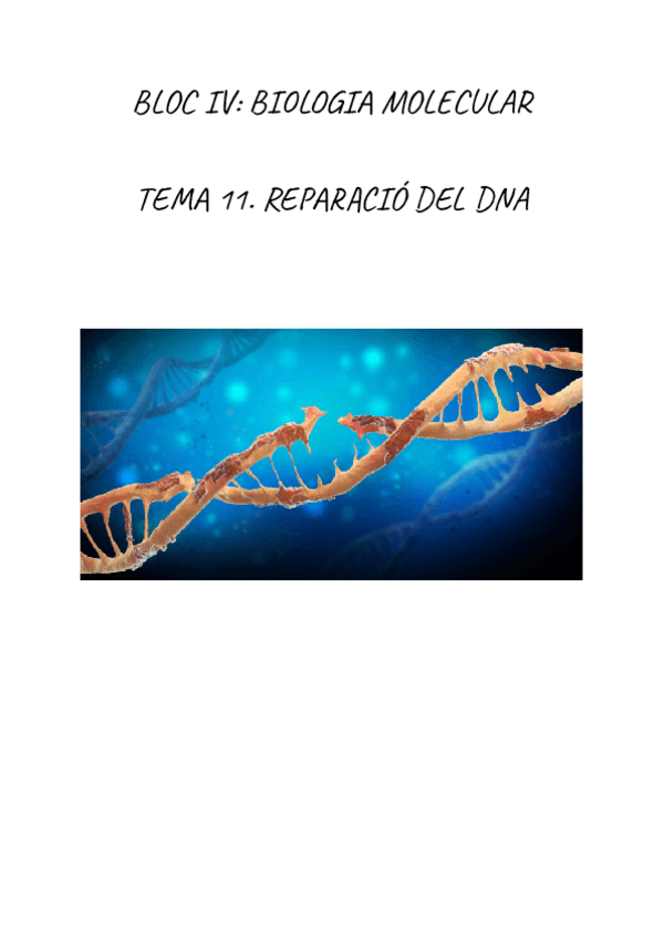 Miniatura del documento BIOQUIMICA.-REPARACIO-DEL-DNA.pdf
