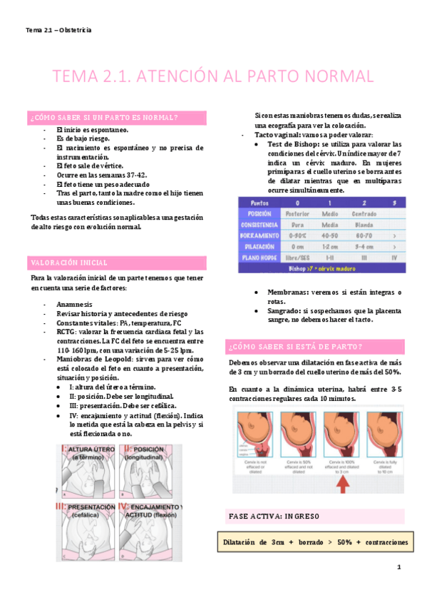 Miniatura del documento TEMA-2.1.pdf
