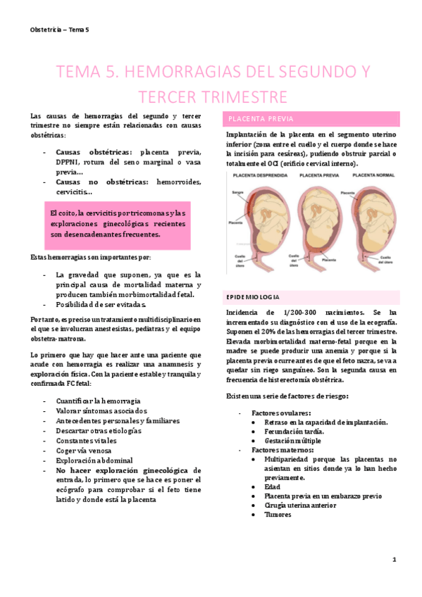 Miniatura del documento TEMA-5.pdf