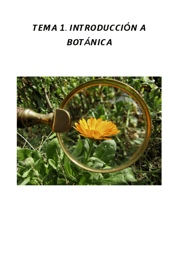Miniatura del documento INTRODUCCION-A-LA-BOTANICA.pdf