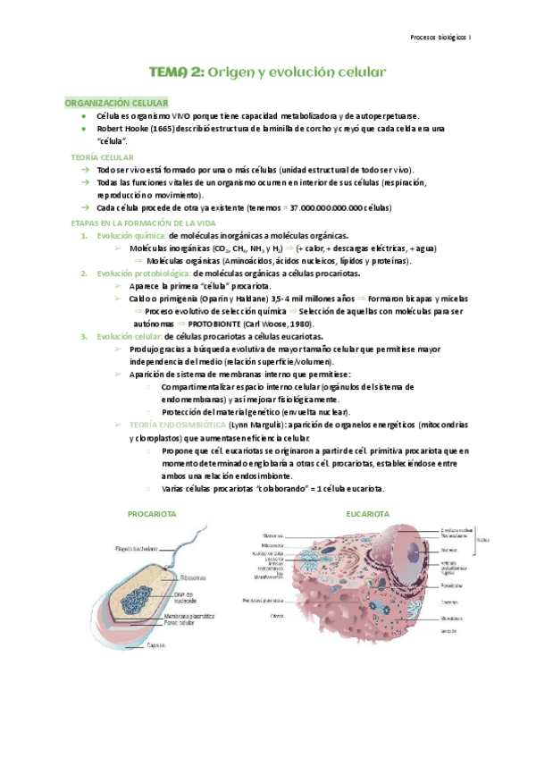Miniatura del documento Tema-2-Origen-y-evolucion-celular.pdf