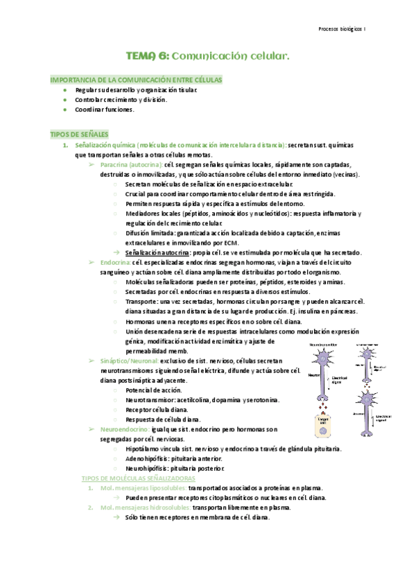 Miniatura del documento Tema-6-Comunicacion-celular.pdf