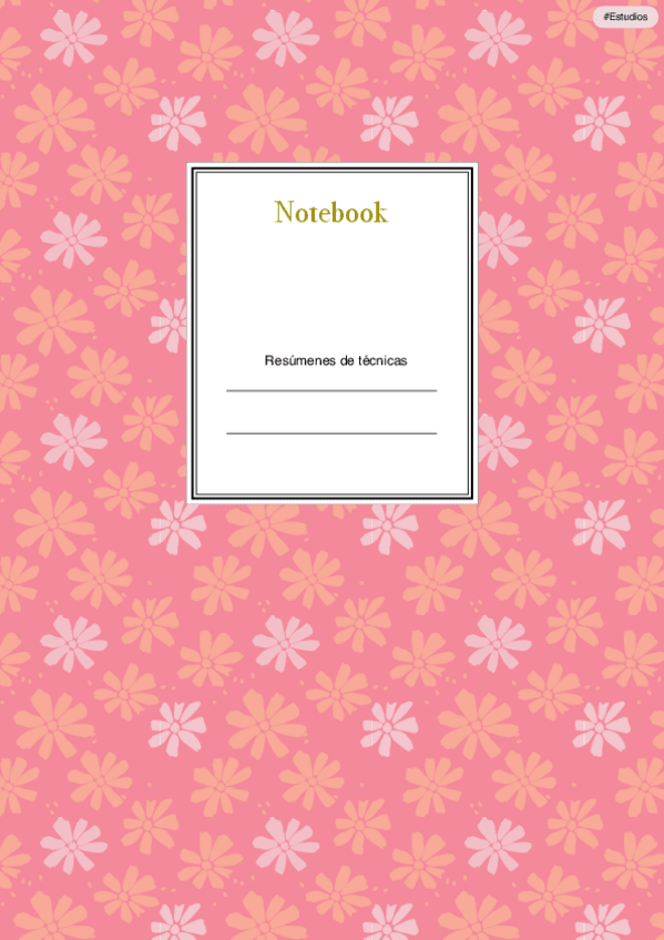 Miniatura del documento Resumenes-y-esquemas-del-segundo-trimestre-de-tecnicas.pdf