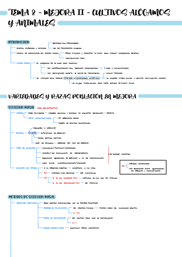 Miniatura del documento Esquema-T8-BI2226.pdf