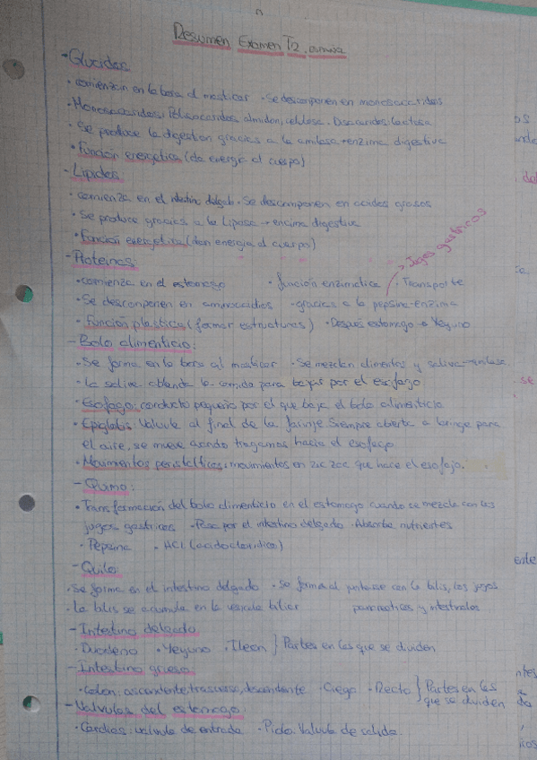 Miniatura del documento Apuntes-biologia-de-la-digestion.pdf