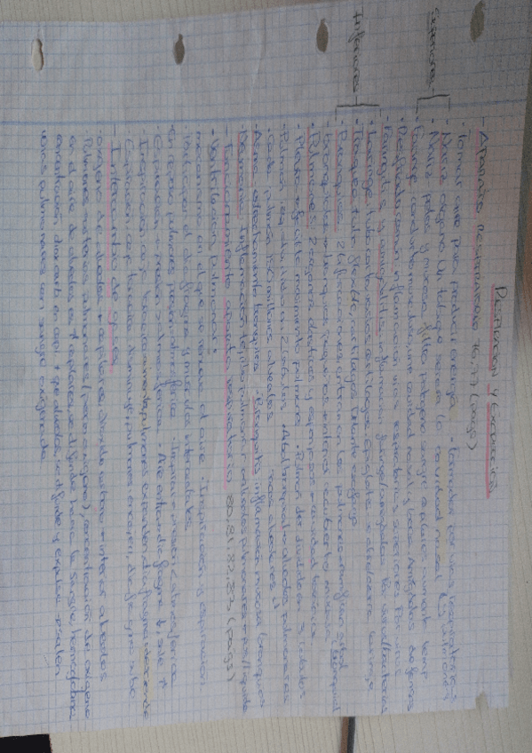 Miniatura del documento Apuntes-biologia-de-la-respiracion-y-excreccion.pdf