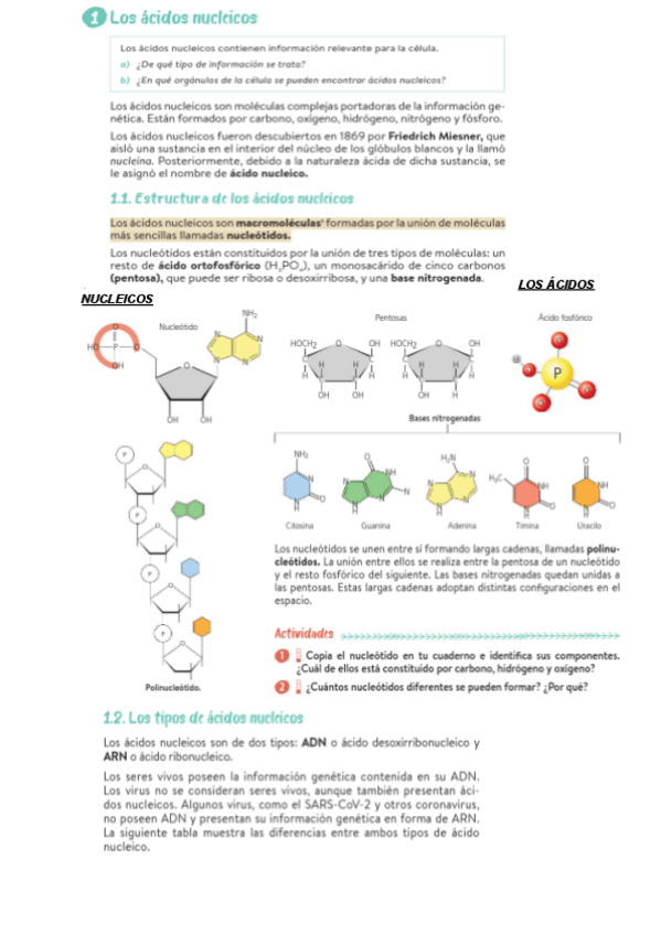 Miniatura del documento GENETICA-MOLECULAR.pdf