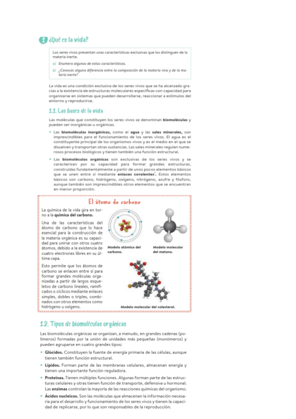Miniatura del documento HIPOTESIS-ORIGEN-DE-LA-TIERRA.pdf