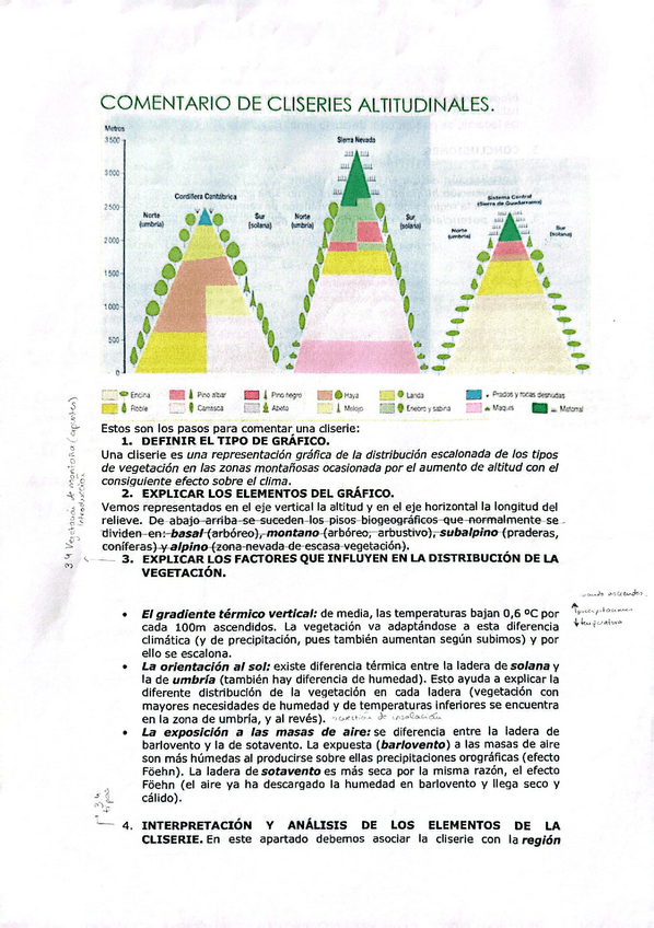 Miniatura del documento GUIONES-GEOGRAFIA-DE-ESPANA-comentarios-de-cliseries-climogramas-planos-urbanos-paisajes-piramides-de-poblacion-relieve-imagenes-2-de-bachillerato.pdf
