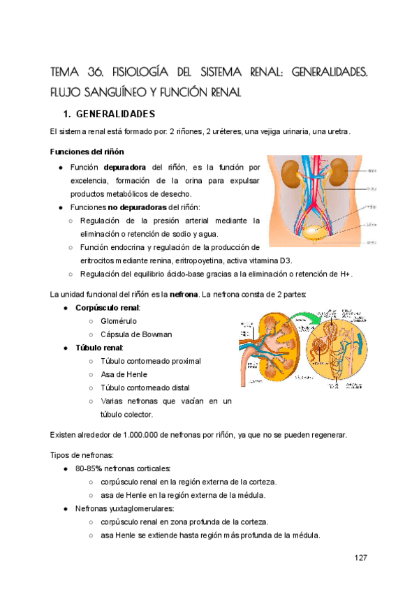 Miniatura del documento FISIOLOGIA-RENAL.pdf