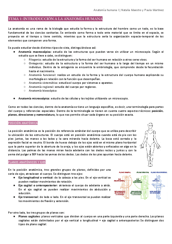 Miniatura del documento Anatomia-humana-I-1-1-96.pdf