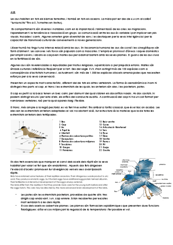 Miniatura del documento AUS.pdf