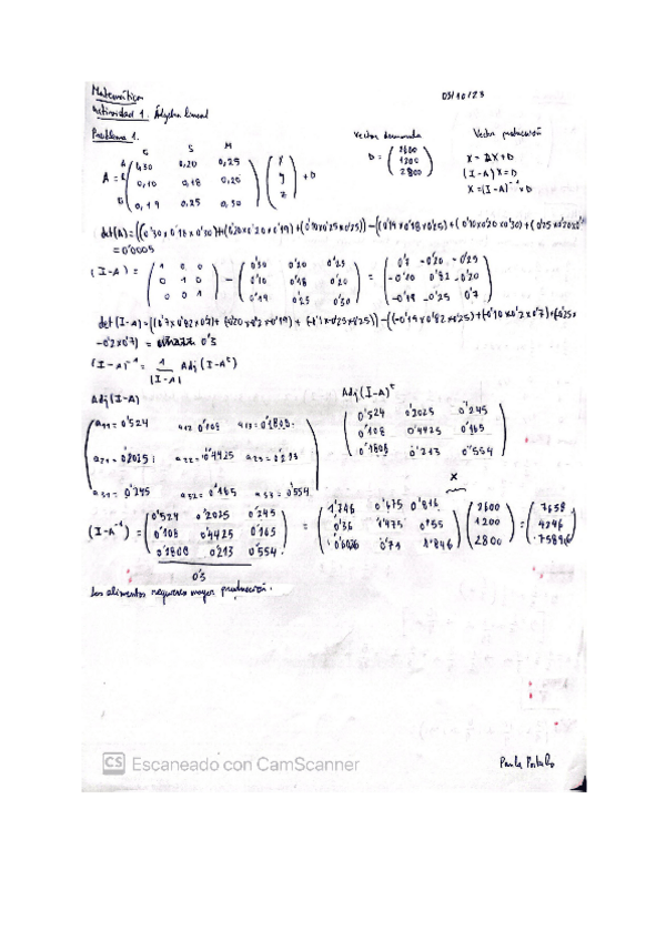 Miniatura del documento Actividad-1-algebra-lineal.pdf
