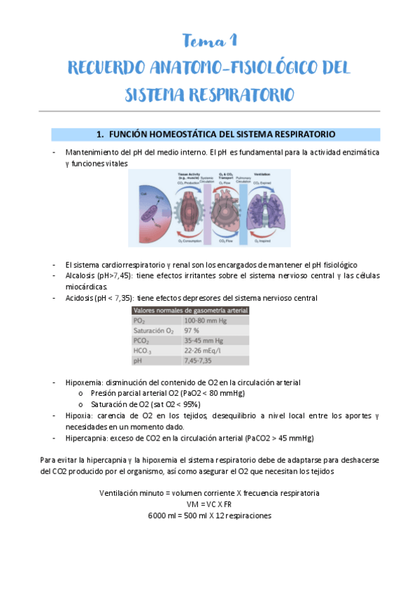 Miniatura del documento Tema-1-JOSE.pdf