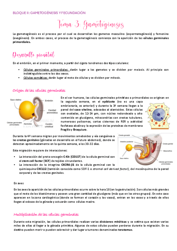 Miniatura del documento Tema-3.pdf