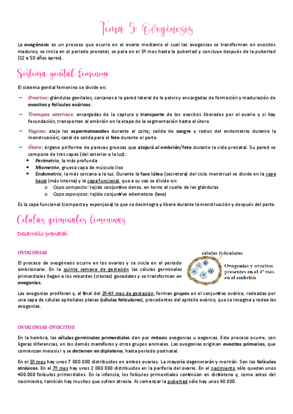 Miniatura del documento Tema-5.pdf