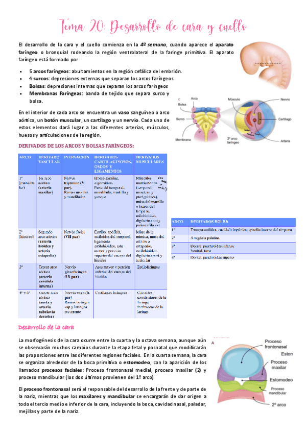 Miniatura del documento Tema-20.pdf