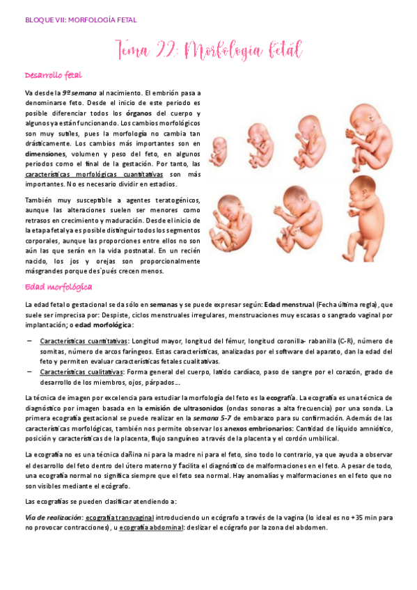 Miniatura del documento Tema-22.pdf