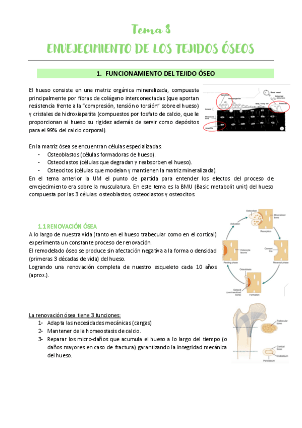 Miniatura del documento Tema-8.pdf