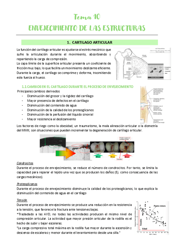 Miniatura del documento Tema-10.pdf