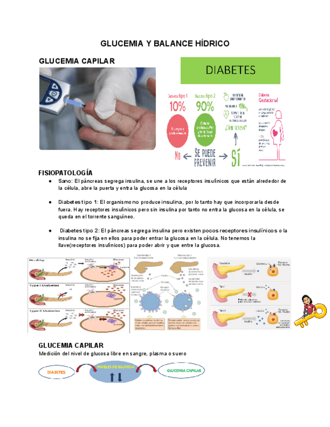Miniatura del documento 3.-GLUCEMIA-Y-BALANCE-HIDRICO.pdf