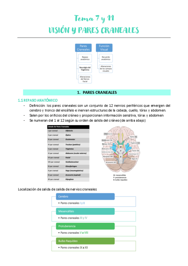 Miniatura del documento Tema-7-NEURO-ANA.pdf