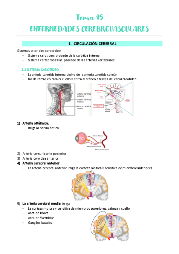 Miniatura del documento Tema-15-NEURO-RAFA.pdf