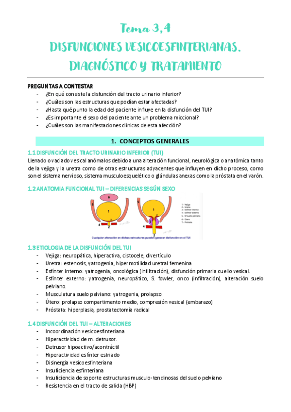 Miniatura del documento Tema-3-4-URO.pdf