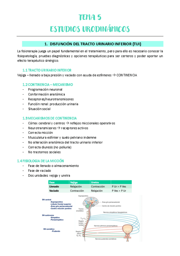 Miniatura del documento TEMA-5-URO.pdf