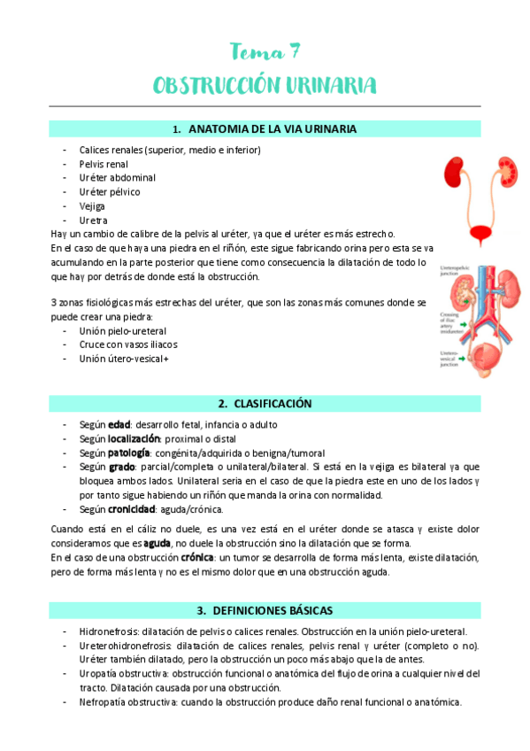 Miniatura del documento TEMA-7-URO.pdf