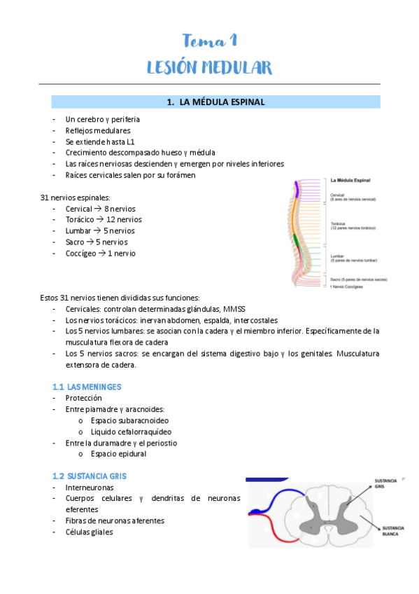 Miniatura del documento Tema-1-JORGE.pdf