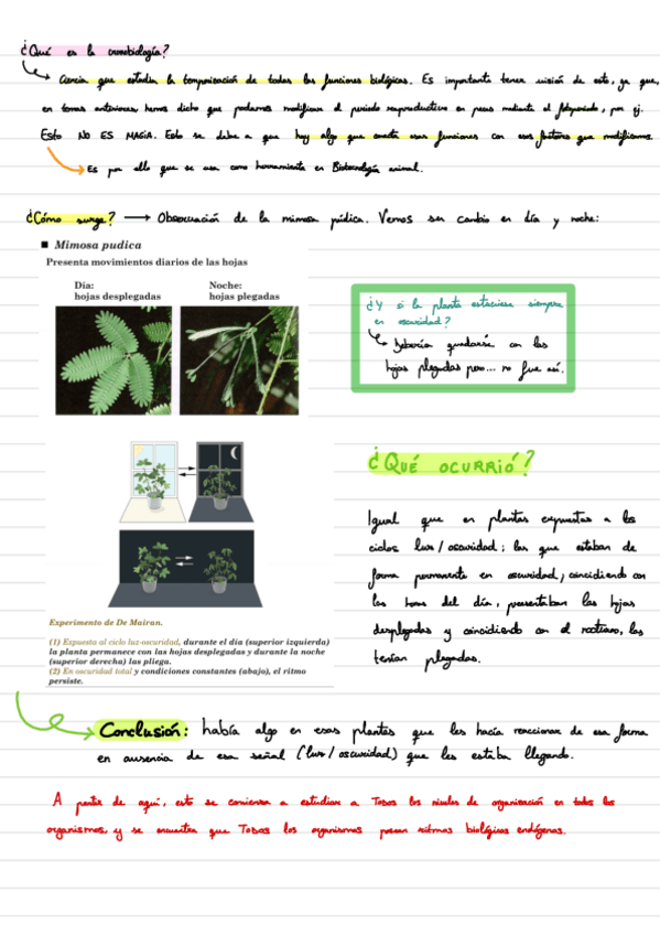 Miniatura del documento Temas-11-13.pdf