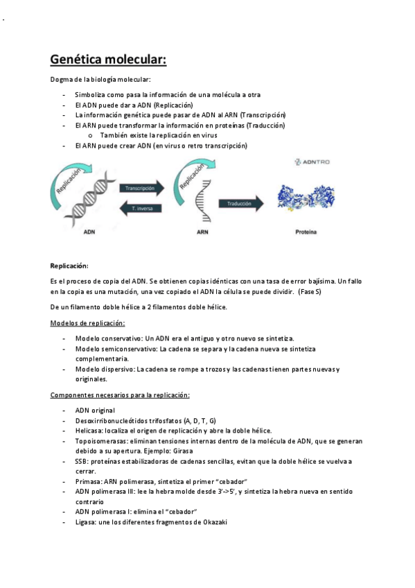 Miniatura del documento Genetica-molecular.pdf