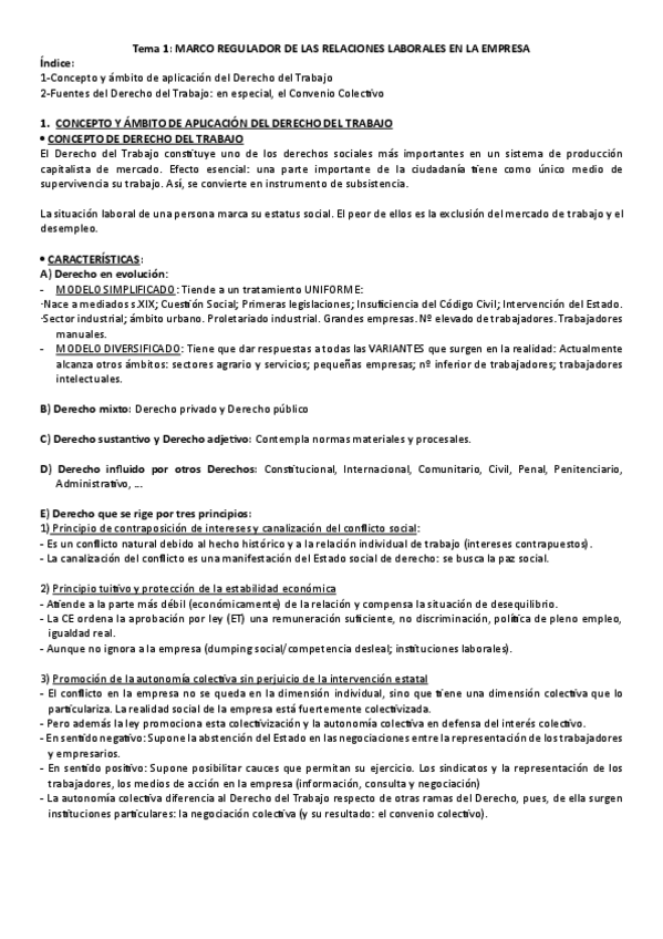 Miniatura del documento TEMA-1-DE-LABORAL-tema-en-word.pdf