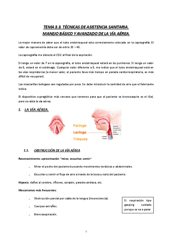 Miniatura del documento MQ4-24-25-TEMA-3.3.-TECNICAS-DE-ASISTENCIA-SANITARIA.-MANEJO-BASICO-Y-AVANZADO-DE-LA-VIA-AEREA.pdf