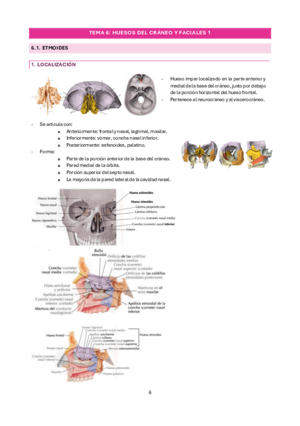 Miniatura del documento tema-6.pdf