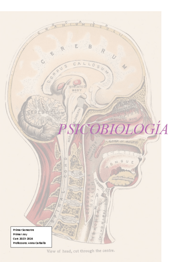 Miniatura del documento PSICOBIOLOGIA.pdf