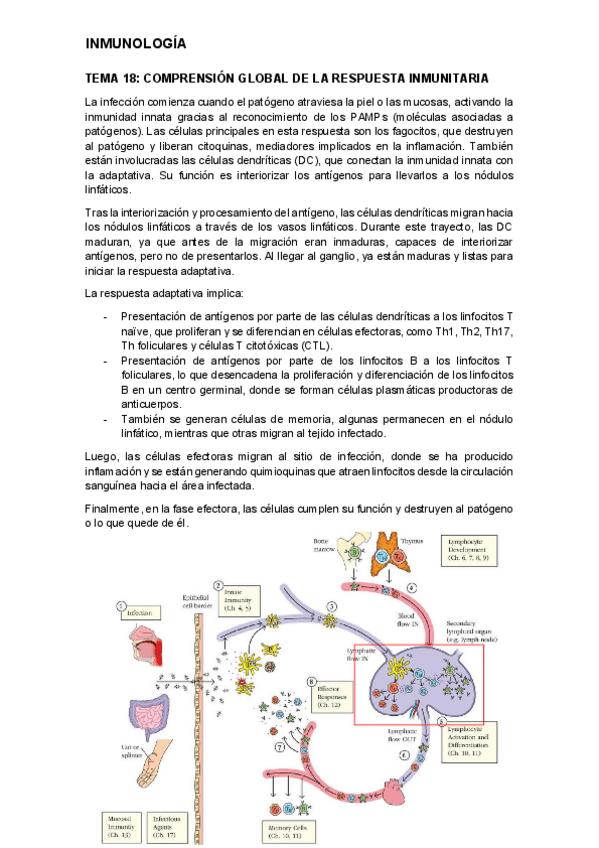Miniatura del documento tema-18.pdf