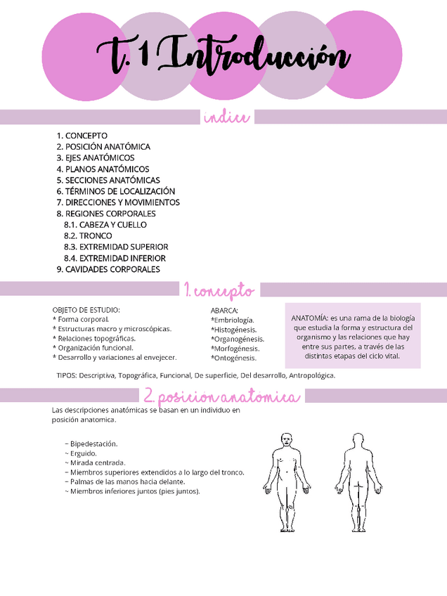 Miniatura del documento ANATOMIA-HUMANA-T.1.pdf