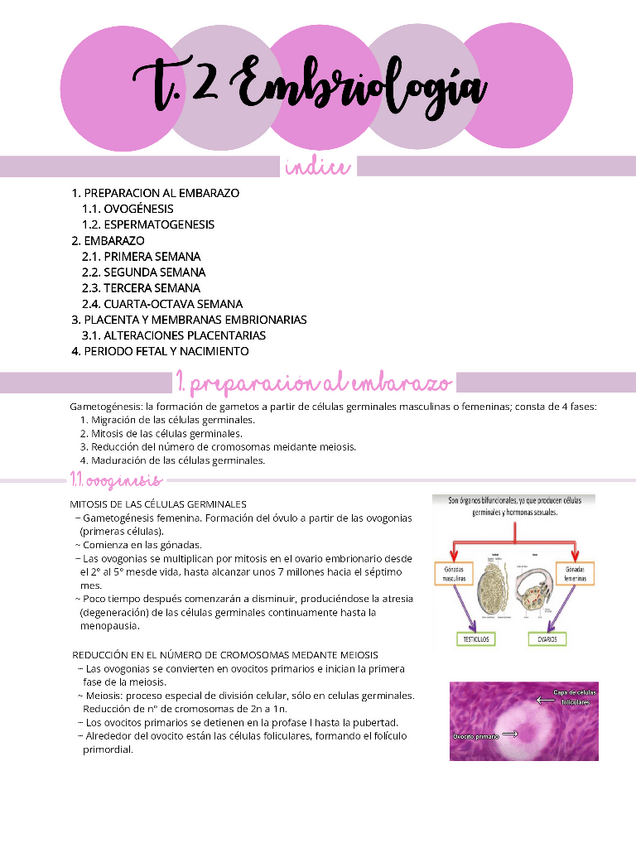 Miniatura del documento ANATOMIA-HUMANA-T.2.pdf