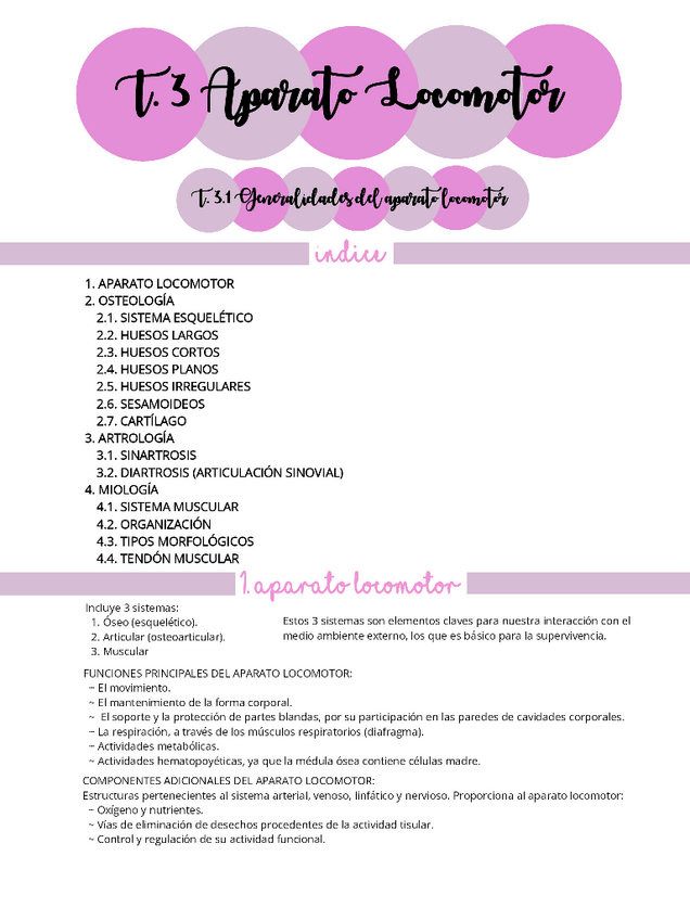 Miniatura del documento ANATOMIA-HUMANA-T.3.1.pdf