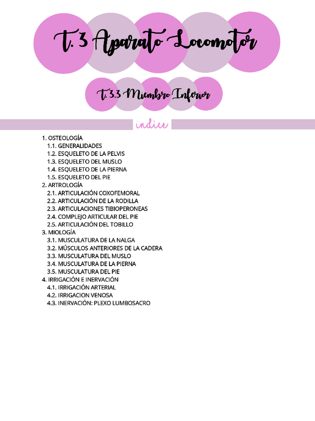 Miniatura del documento ANATOMIA-HUMANA-T.3.3.pdf